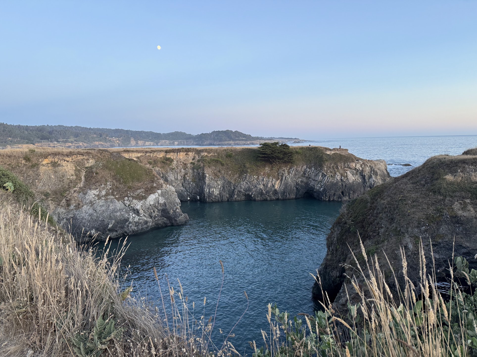 Tomas at a Mendocino tide pool