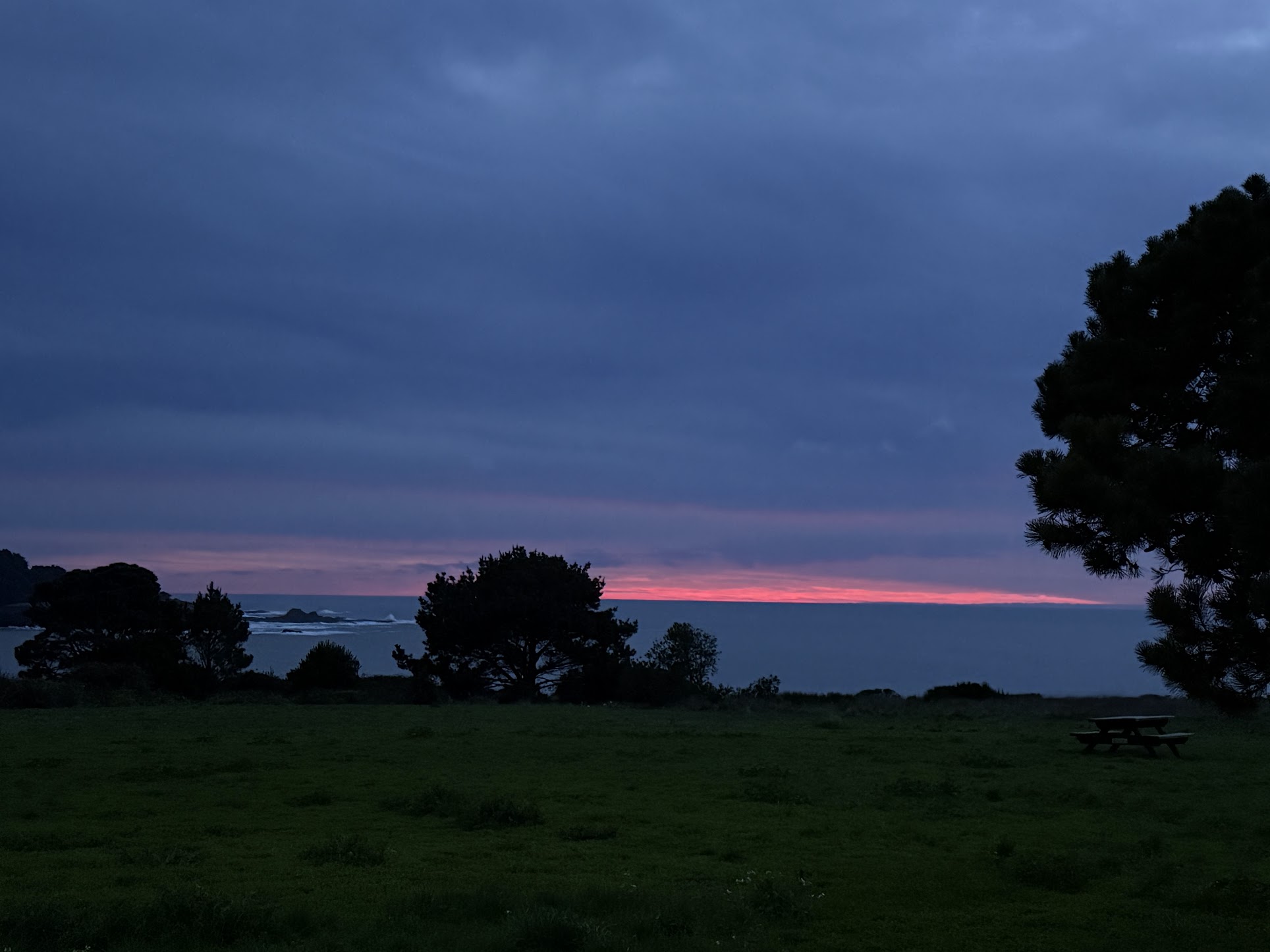 Grasses and cliffs above the Pacific